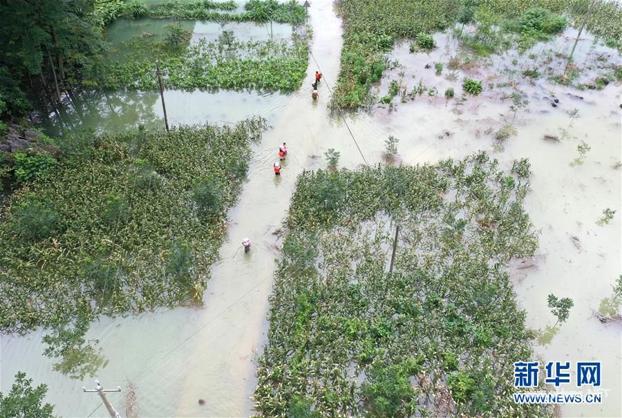 （社会）（3）强降雨致广西36万人受灾